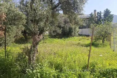 ΑΙΓΛΑΗ  ΟΙΚΟΠΕΔΟ ΣΕ ΥΨΟΜΕΤΡΙΚΟ ΣΗΜΕΙΟ ΣΤΟΥΣ ΠΡΟΠΟΔΕΣ ΤΟΥ ΒΟΥΝΟΥ